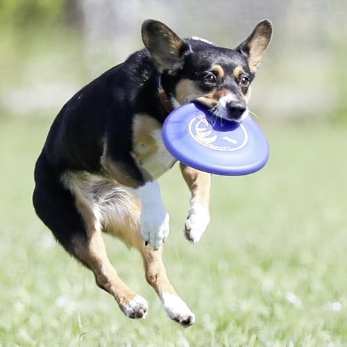 Hyperflite Pup Jawz Puncture Resistant Dog Flying Disc, Small Dogs | Puncture Resistant, Competition Approved | 7-inch, 90g | Small Dogs | Blue - color: blue