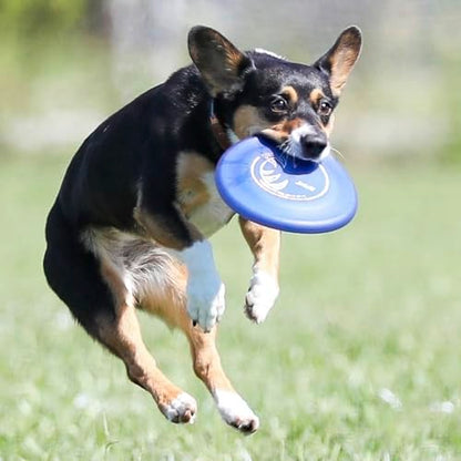Hyperflite Pup Jawz Puncture Resistant Dog Flying Disc, Small Dogs | Puncture Resistant, Competition Approved | 7-inch, 90g | Small Dogs | Blue - color: blue