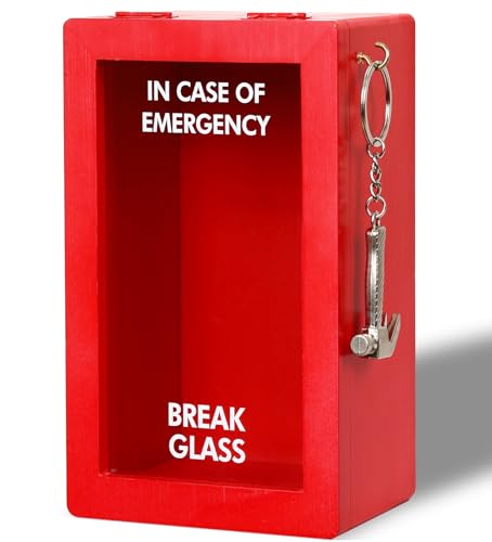Funny Emergency Box w/Hammer (Large), Break in Case of Emergency Box, Personalized Unique Gifts for Men Women, Office Desk Decor, Random Things, White Elephant Gift for Friend Coworker Family - style: Large Emergency Box