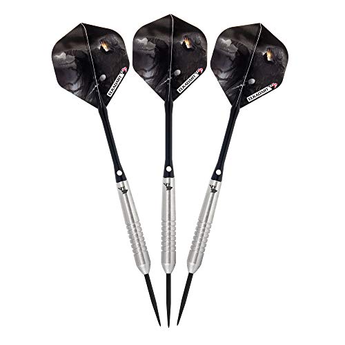 Elkadart Wizard 80% Tungsten Steel Tip Darts with Storage/Travel Case - style: 23 Grams