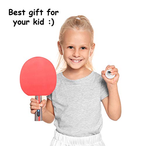 Professional Ping Pong Paddle Set - 2 Pack Premium Table Tennis Racket Set, 3 Professional Game Balls, Training Recreational Racquet Kit, Durable Handle Sturdy Rubber, Portable Carry Case Bag | table tennis balls, ping pong paddle case, indoor recreationa