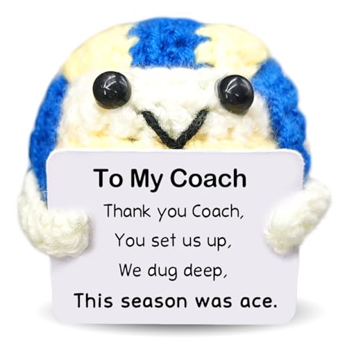 Handmade Collectible Volleyball - Thank You Gift for Coach,Volleyball Coach Appreciation Gift,Team Gifts from Players,InspirationalSports Decor & Memory Keepsake for Volleyballs Lovers - color: Coach