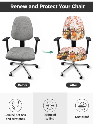 Savannan Office Chair Cover, Thanksgiving Pumpkin Leaf Protective Stretch Elastic Universal Cover for Desk Task Chair,Computer Rotating Chair 1 Pcs Sunflower Bow Dog