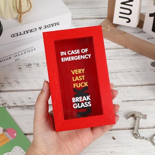 Very Last Fuck Emergency Box Funny Gag Gifts for Men Women | Funny White Elephant Gifts for Adults & Christmas Stocking Stuffers, In Case of Emergency Break Glass Wood Box Desk Decor - style: F Emergency Box