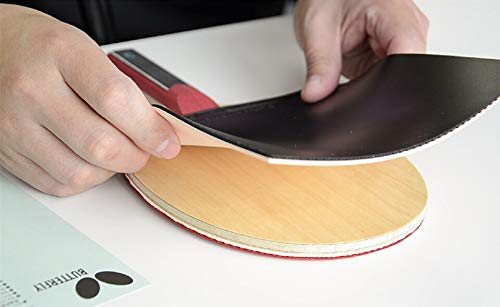 Butterfly Timo Boll ALC Blade & Tenergy 05 Rubber Shakehand Table Tennis Racket - Pro-Line Series - Comprised of Our Most Popular Blade and Rubbers - Recommended for Aspiring Professional Players