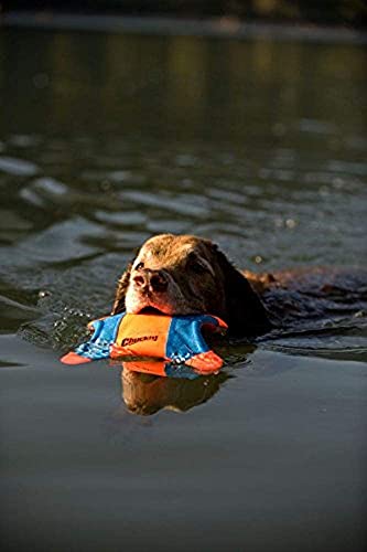 CHUCKIT! Flying Squirrel Dog Toy