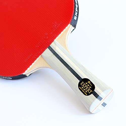 Palio Expert 3.0 Table Tennis Racket & Case | ITTF Approved High-Performance Ping Pong Rackets for Beginners | Maximum Spin & Control - style: Single Bat