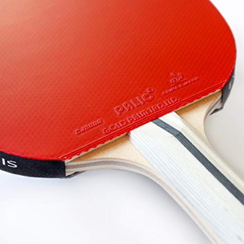 Palio Expert 3.0 Table Tennis Racket & Case | ITTF Approved High-Performance Ping Pong Rackets for Beginners | Maximum Spin & Control - style: Single Bat