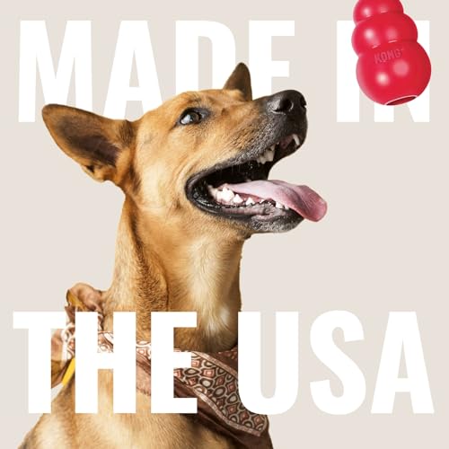KONG Flyer - Durable Dog Toy for Outdoor Playtime - Natural Rubber Flying Disc, Dog Toy for Fetch - Safer Disc for Healthy Activity - for Small Dogs - size: Small (Pack of 1)