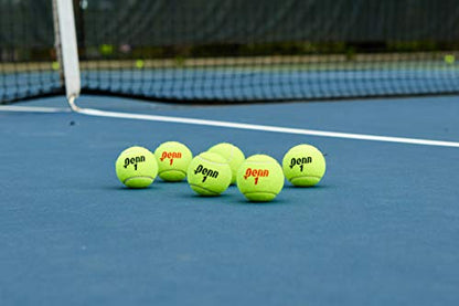 Penn Championship Tennis Balls - Regular Duty - size: 1 Can, 3 Balls