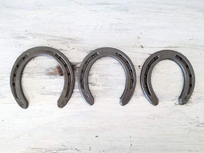 Steel Horseshoes Set for Horses, Crafts, Decorations and Backyard Games - Size 000 - R1-F - Sand Blasted 10 Shoes - size: Size 000 R1-F X-Small - 10 Shoes