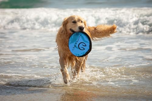 Hyper Pet Flippy Flopper 9" Flying Disc Soft Dog Toy, Floats in Water & Safe on Teeth, for All Breeds, Pack of 5 (Colors May Vary) - size: 9" Pack of 5