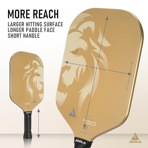 JOOLA Ben Johns Hyperion Pickleball Paddle - Select Raw Carbon Surface or Carbon Abrasion Surface for Increased Power and Spin - Elongated Grip Handle - Carbon Fiber Pickleball Paddle - USAP Approved - color: Magnus | CAS | 14mm