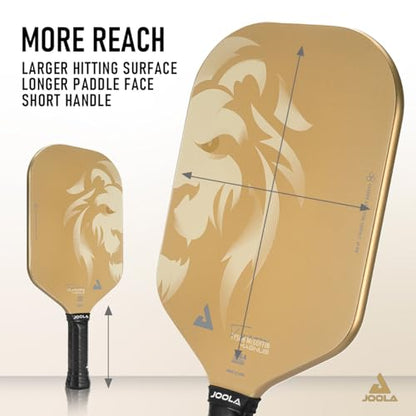 JOOLA Ben Johns Hyperion Pickleball Paddle - Select Raw Carbon Surface or Carbon Abrasion Surface for Increased Power and Spin - Elongated Grip Handle - Carbon Fiber Pickleball Paddle - USAP Approved - color: Magnus | CAS | 14mm