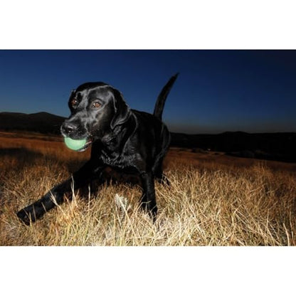Chuckit! Glow in the Dark Bouncy Balls - Ball for Dogs, Chuckit Dog Toy, Max Glow Balls - Extra-Large, 3.5 Inch, Pack of 1 - size: Extra-Large