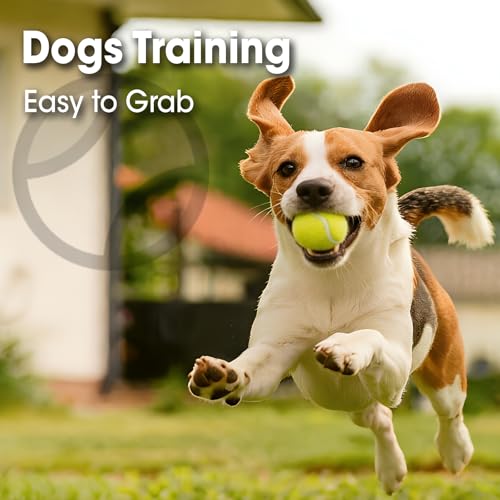 AZEN 40 Pack Tennis Balls, Premium pressurized Tennis Balls Bulk for Dogs, Good for Beginners to Practice
