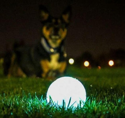 Chuckit! Glow in the Dark Bouncy Ball for Dogs, Chuckit Dog Toy, Max Glow Balls - Large, 3 Inch, Pack of 1 - size: Large