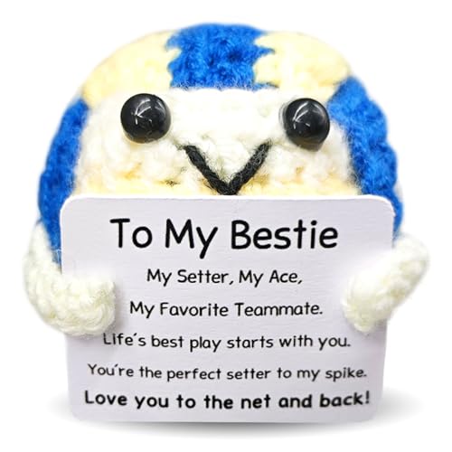 Handmade Collectible Volleyball for Her,Emotional Support Gift for Girlfriends,Volleyball Lover Gifts,Cute Home Decor for Sister & BFF,Work Bestie Bestfriend for Birthday - color: Bestie