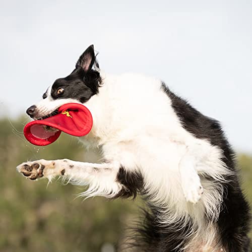 Nerf Dog Nylon Flyer Dog Toy, Flying Disc, Lightweight, Durable and Water Resistant, Great for Beach and Pool, 9 inch diameter, for Medium/Large Breeds, Single Unit, Red - color: Red - 1 Pack