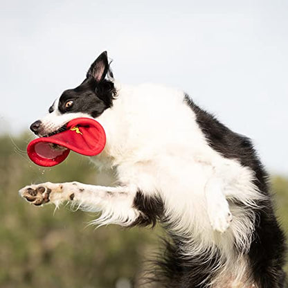 Nerf Dog Nylon Flyer Dog Toy, Flying Disc, Lightweight, Durable and Water Resistant, Great for Beach and Pool, 9 inch diameter, for Medium/Large Breeds, Single Unit, Red - color: Red - 1 Pack