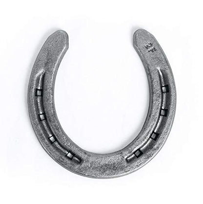 Steel Horseshoes Set for Horses, Crafts, Decorations and Backyard Games - Size 00 - R2-F - Sand Blasted 1 Shoe - size: Size 00 R2-F Small - 1 Shoe