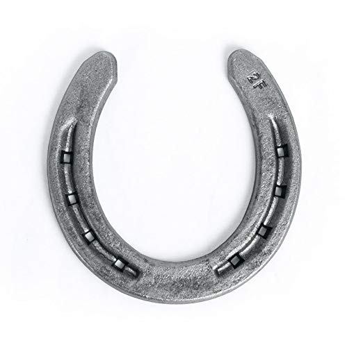 Steel Horseshoes Set for Horses, Crafts, Decorations and Backyard Games - Size 00 - R2-F - Sand Blasted 20 Shoes - size: Size 00 R2-F Small - 20 Shoes