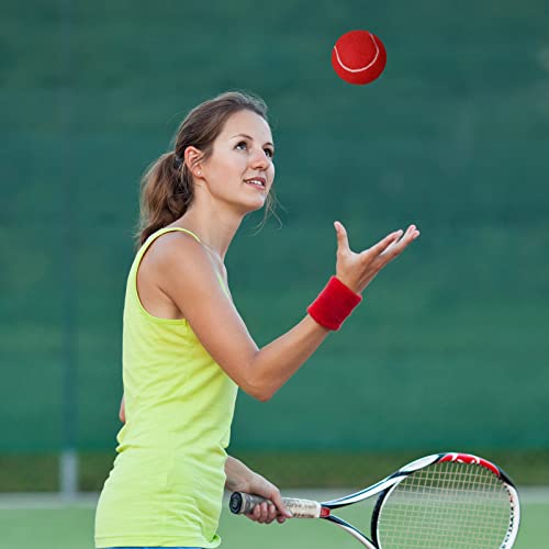 Vinsot 24 Pack Tennis Balls Bulk, Standard Pressure Balls for Training Playing Player Beginner Youth, Exercise Ball for Pet Dog, 2.5 Inch(Red) - color: Red