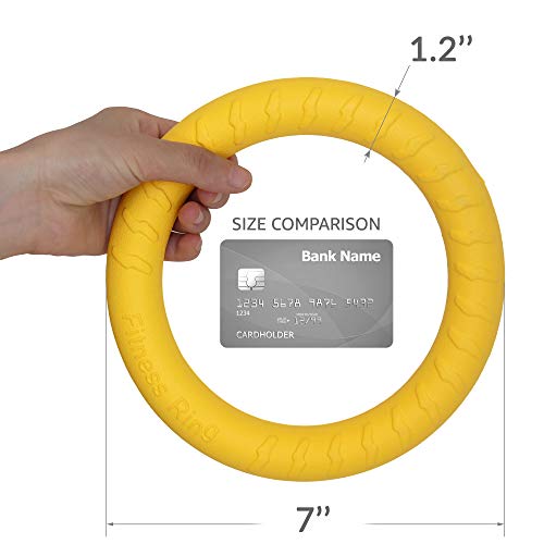 PetSpy Dog Ring Toy – Flying Ring for Outdoor Play, Floating Training & Fetch Toy for Throwing, Catching & Chewers – Durable EVA Flying Disc for Small, Medium & Large Dogs - size: Small To Medium, style: 2 Rings