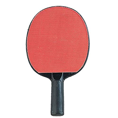Champion SportsChampion Sports PN2 Table Tennis Paddle - color: Multi