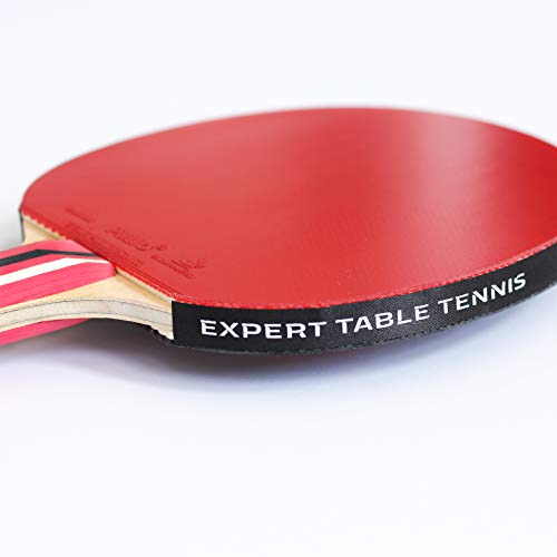 Palio Master 3.0 Table Tennis Bat & Case | ITTF-Approved Intermediate Ping Pong Racket | Allround Speed, Spin and Control | Case - style: Single Bat