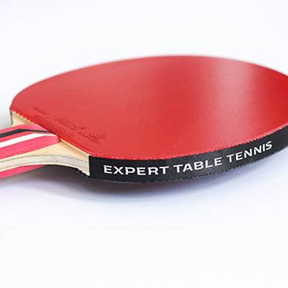 Palio Master 3.0 Table Tennis Bat & Case | ITTF-Approved Intermediate Ping Pong Racket | Allround Speed, Spin and Control | Case - style: Single Bat