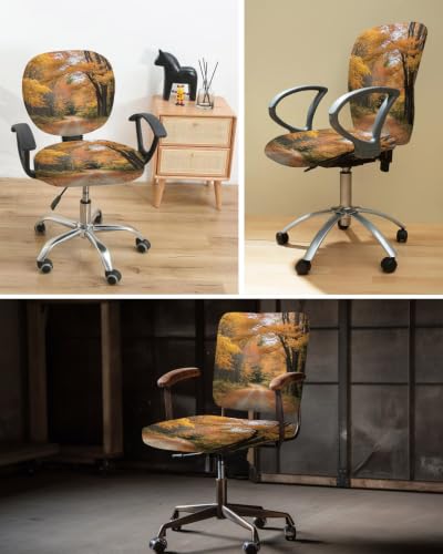 Savannan Office Chair Cover, Autumn Wild Path Forest Fallen Leaf Protective Stretch Elastic Universal Cover for Desk Task Chair,Computer Rotating Chair 1 Pcs Fall Natural Scenery