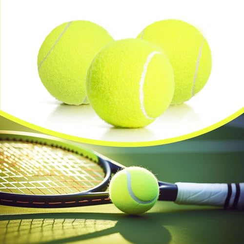 30/40 Pack Training Tennis Balls, Pet Dog Playing Balls, Practice Tennis Balls with Mesh Bag for Transport and Beginner Training - color: Colorful-40Pack