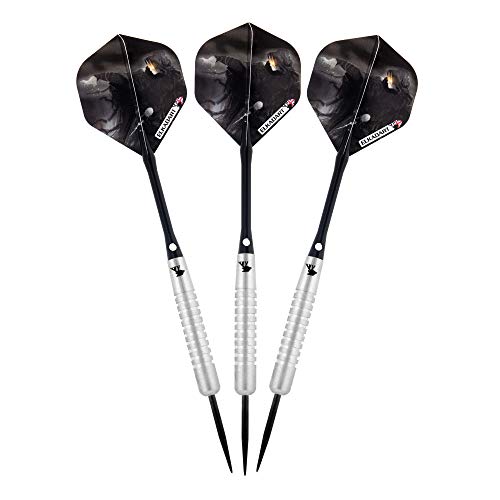 Elkadart Wizard 80% Tungsten Steel Tip Darts with Storage/Travel Case - style: 22 Grams