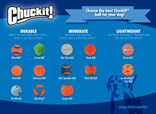 Chuckit! Glow in the Dark Bouncy Balls - Ball for Dogs, Chuckit Dog Toy, Max Glow Balls - Medium, 2.5 Inch, Pack of 1 - size: Medium