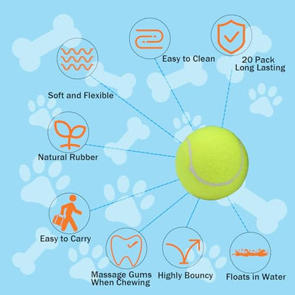Swingers Small Tennis Balls，20 Pack 2 inch Training Tennis Balls,Exercise Ball for Pet Dog with Mesh Carry Bag Easy to Transport