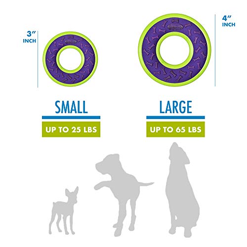 Hero Outer Armor, Fetch Ring Dog Toy, Floats & Squeaks, Purple - style: Ring - Purple