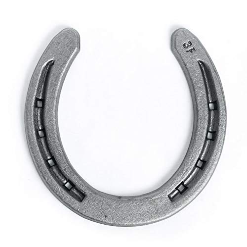 Steel Horseshoes Set for Horses, Crafts, Decorations and Backyard Games - Size 0 - R3-F - Sand Blasted 20 Shoes