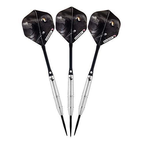 Elkadart Wizard 80% Tungsten Steel Tip Darts with Storage/Travel Case - style: 21 Grams