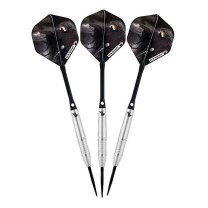 Elkadart Wizard 80% Tungsten Steel Tip Darts with Storage/Travel Case - style: 21 Grams