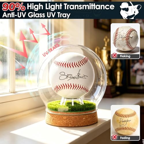 Real Glass Baseball Display Case - UV Protected Dome Tabletop Box with Cork Base & Faux Grass for a Single Official, Signed or Game-Used Baseball (Cloche Dome)