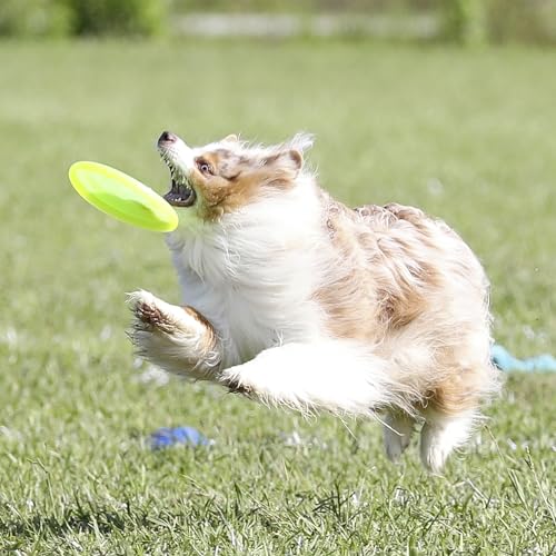 Hyperflite Pup Jawz Puncture Resistant Dog Flying Disc, Small Dogs | Puncture Resistant, Competition Approved | 7-inch, 90g | Small Dogs | Glow - color: Glow