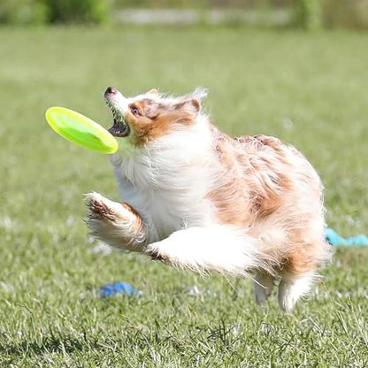 Hyperflite Pup Jawz Puncture Resistant Dog Flying Disc, Small Dogs | Puncture Resistant, Competition Approved | 7-inch, 90g | Small Dogs | Glow - color: Glow