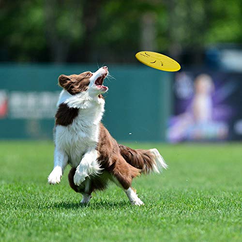 Indestructible Dog Flying Disc, Interactive Dog Flyer Toys, Soft Lightweight Catch and Fetch Toys for Medium Large Dogs, Floats in Water & Safe on Teeth, 9 inch (Large, Purple) - color: Purple, size: Large