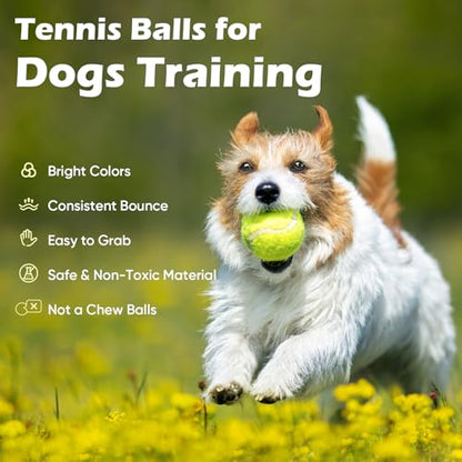 Treeroot 16/30/40/60/80 Pcs Tennis Balls, High Elasticity Tennis Balls Bulk, Comes with a Portable Mesh Bag, Tennis Ball for Dogs, Suitable for Beginner Training Ball, Durable & Bounce - size: 40Pack