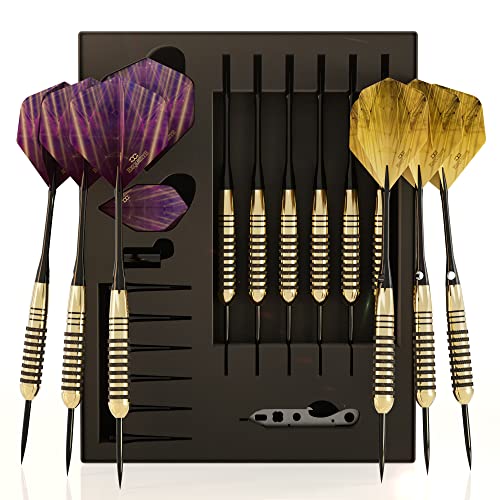 CC-Exquisite Premium Steel Tip Darts Set - Professional Darts, Brass Barrels, Metal Tip Darts, Extra Flights, (12) Aluminum Shafts 35/48, O-Rings, Dart Tool, Dart Sharpener, Darts Case