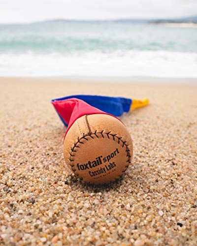 Foxtail Sport - The Original 90s Throw and Catch Outdoor Game (Ages 8+)