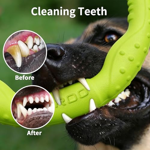 LaRoo Dog Ring Toy, Durable Soft Flying Disc for Throwing Catching Grabbing, Water Floating Dog Training Fetch Ring for Medium Large Breeds, Outdoor (Green/11.8Inch) - color: Green-L