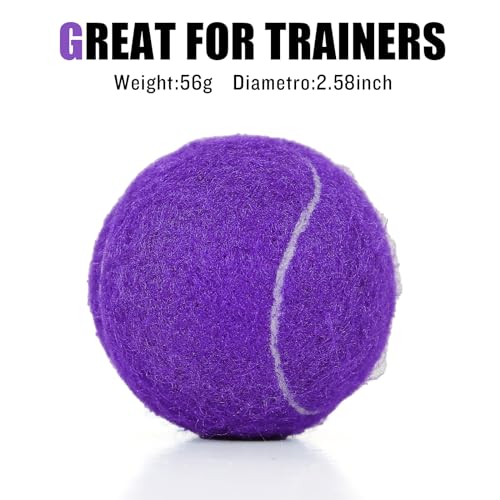60/120 Pack Tennis Balls, Training Tennis Balls, Pet Dog Playing Balls, Practice Tennis Balls with Mesh Bag for Transport and Beginner Training - color: Purple-60Pack