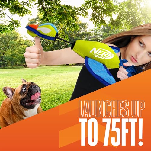 Nerf Dog 16.5in Nylon Ultraplush Crinkle Wing Launching Duck Dog Toy - Green/Light Blue - color: Green / Blue